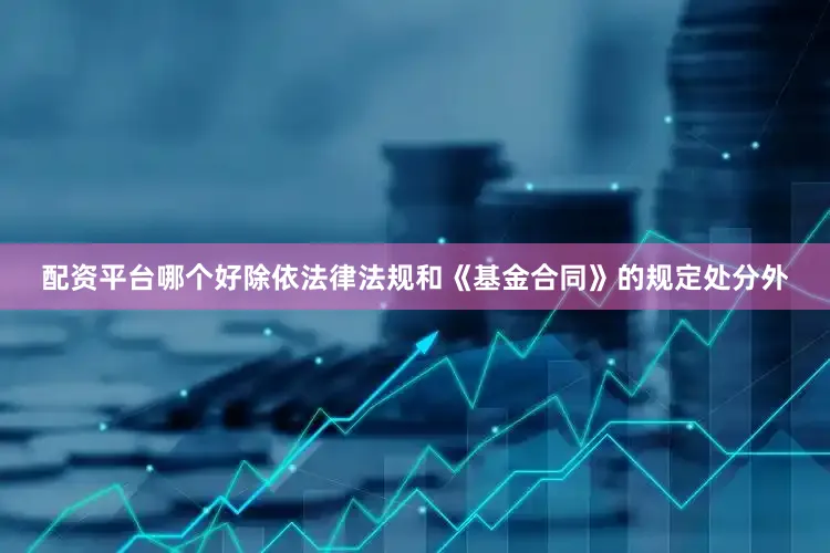 配资平台哪个好除依法律法规和《基金合同》的规定处分外
