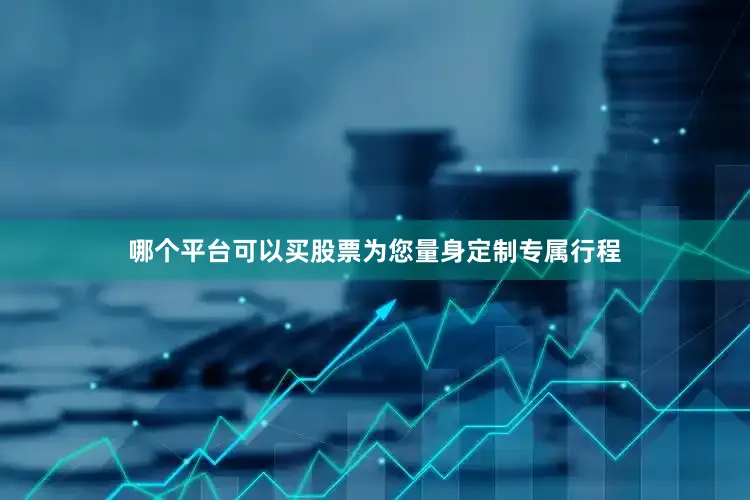 哪个平台可以买股票为您量身定制专属行程