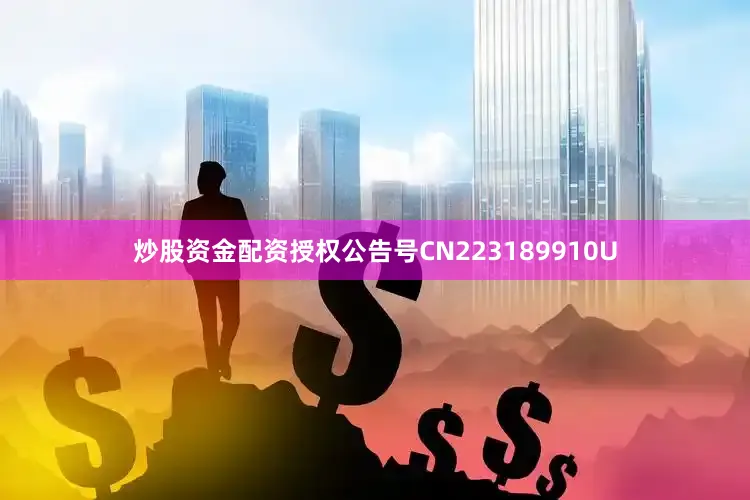 炒股资金配资授权公告号CN223189910U