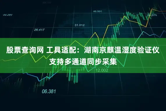 股票查询网 工具适配：湖南京麒温湿度验证仪支持多通道同步采集