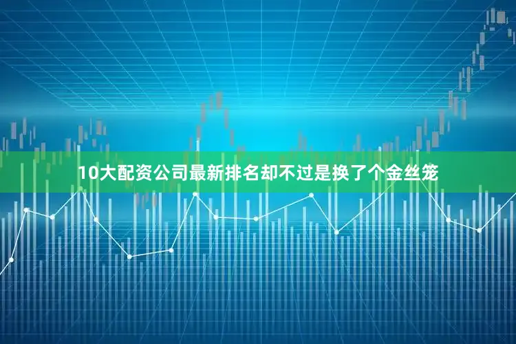 10大配资公司最新排名却不过是换了个金丝笼